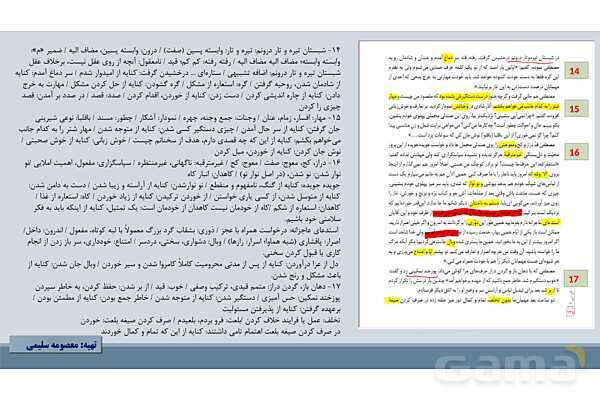 پاور درس 16 فارسی دوازدهم: کباب غاز- پیش نمایش