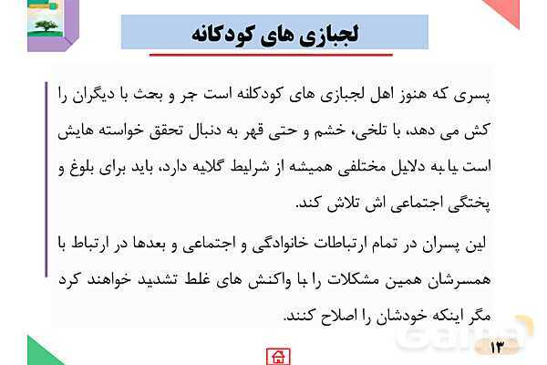 پاور درس 13 مدیریت خانواده: پختگی اجتماعی 1- پیش نمایش