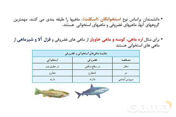 پاور علوم نهم فصل 14: جانوران مهره دار- پیش نمایش