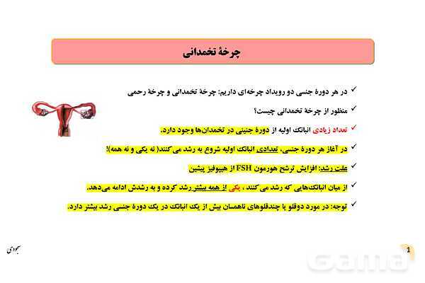 پاور چرخۀ تخمدانی و رحمی و تنظیم هورمونی دستگاه تولیدمثلی زنان- پیش نمایش