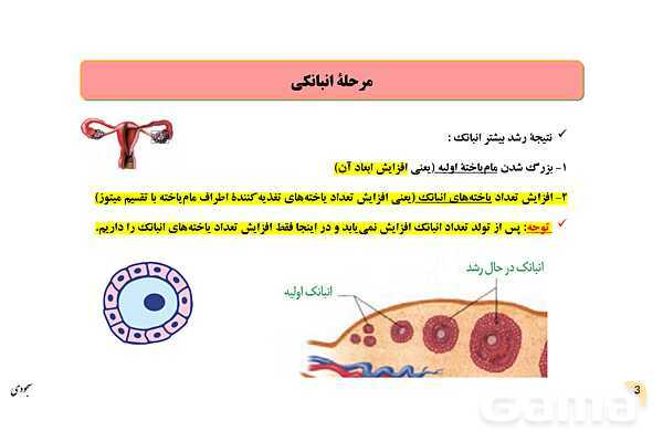 پاور چرخۀ تخمدانی و رحمی و تنظیم هورمونی دستگاه تولیدمثلی زنان- پیش نمایش