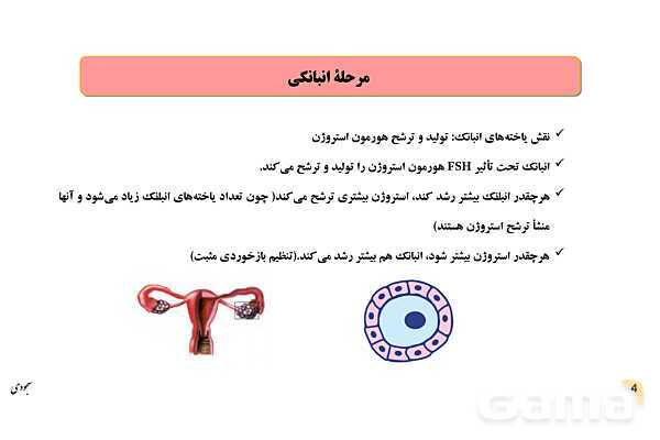 پاور چرخۀ تخمدانی و رحمی و تنظیم هورمونی دستگاه تولیدمثلی زنان- پیش نمایش