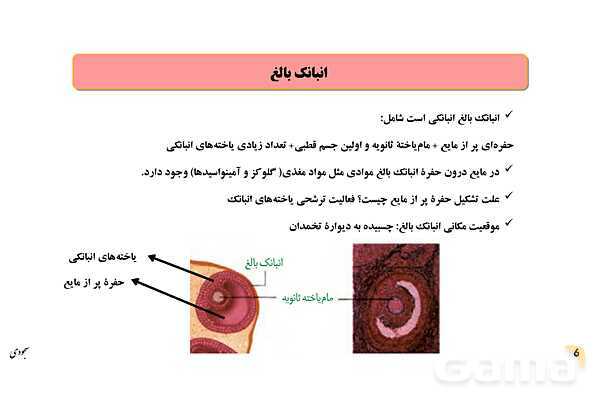 پاور چرخۀ تخمدانی و رحمی و تنظیم هورمونی دستگاه تولیدمثلی زنان- پیش نمایش