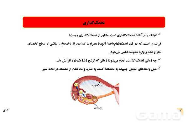 پاور چرخۀ تخمدانی و رحمی و تنظیم هورمونی دستگاه تولیدمثلی زنان- پیش نمایش