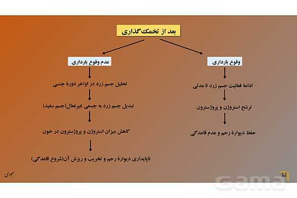 پاور چرخۀ تخمدانی و رحمی و تنظیم هورمونی دستگاه تولیدمثلی زنان- پیش نمایش