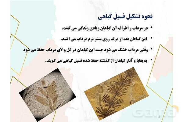 پاور علوم پنجم درس 4: برگی از تاریخ- پیش نمایش