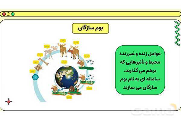 پاور فصل پانزدهم علوم نهم: باهم زیستن- پیش نمایش