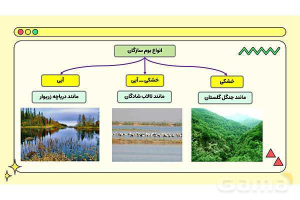 پاور فصل پانزدهم علوم نهم: باهم زیستن- پیش نمایش