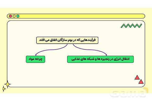 پاور فصل پانزدهم علوم نهم: باهم زیستن- پیش نمایش