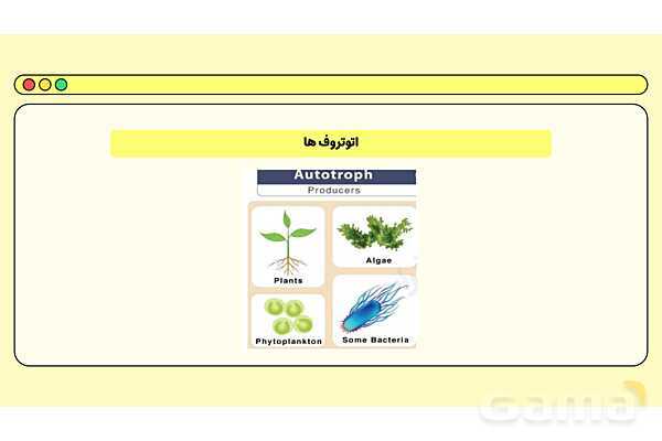 پاور فصل پانزدهم علوم نهم: باهم زیستن- پیش نمایش