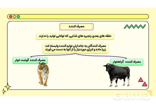 پاور فصل پانزدهم علوم نهم: باهم زیستن- پیش نمایش