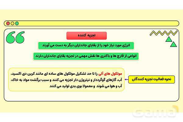 پاور فصل پانزدهم علوم نهم: باهم زیستن- پیش نمایش