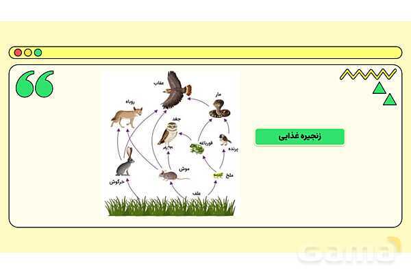 پاور فصل پانزدهم علوم نهم: باهم زیستن- پیش نمایش