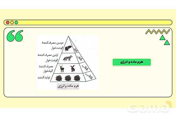 پاور فصل پانزدهم علوم نهم: باهم زیستن- پیش نمایش