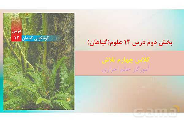 پاور درس دوازدهم علوم چهارم | گوناگونی گیاهان