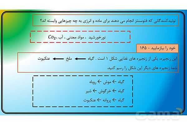 پاور علوم نهم | فصل 15 با هم زیستن - پیش نمایش