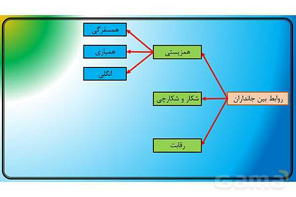 پاور علوم نهم | فصل 15 با هم زیستن - پیش نمایش