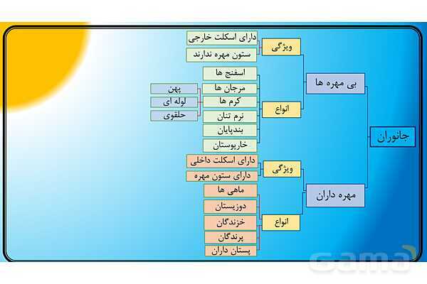 پاور علوم نهم | فصل 14 جانوران مهره دار- پیش نمایش