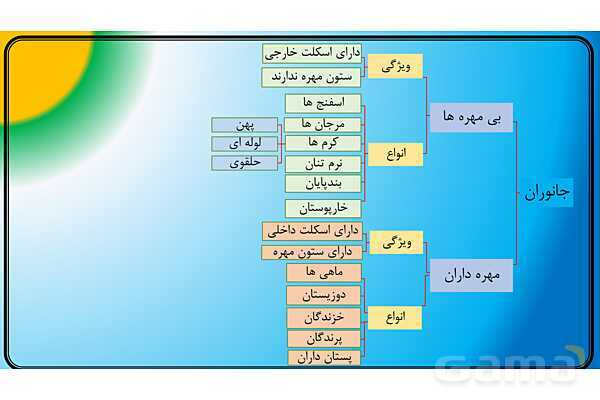 پاور علوم نهم | فصل 13 جانوران بی مهره - پیش نمایش