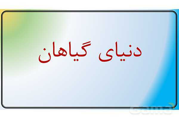 پاور علوم نهم فصل 12 | دنیای گیاهان - پیش نمایش