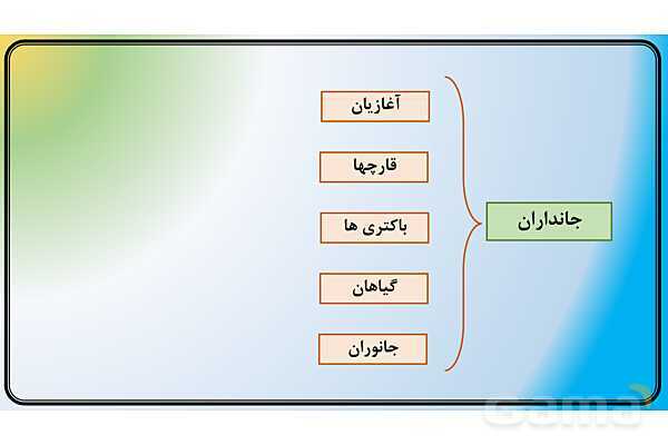 پاور علوم نهم فصل 12 | دنیای گیاهان - پیش نمایش