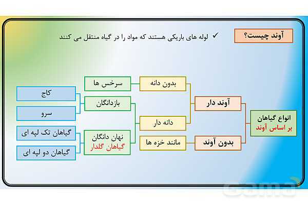 پاور علوم نهم فصل 12 | دنیای گیاهان - پیش نمایش