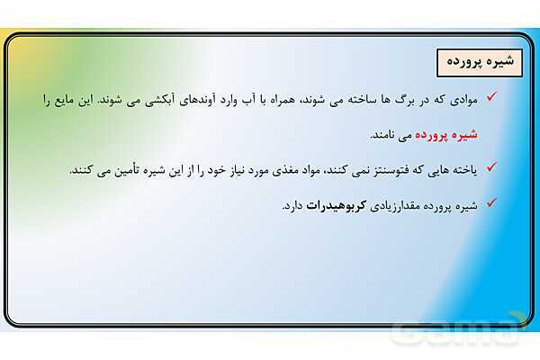 پاور علوم نهم فصل 12 | دنیای گیاهان - پیش نمایش