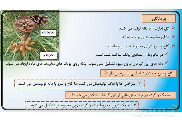 پاور علوم نهم فصل 12 | دنیای گیاهان - پیش نمایش