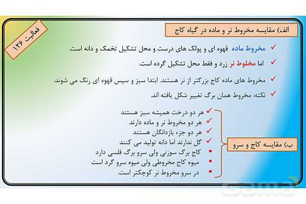 پاور علوم نهم فصل 12 | دنیای گیاهان - پیش نمایش