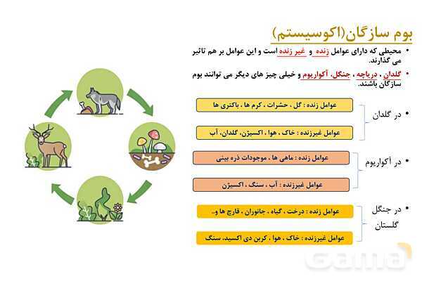 پاور علوم نهم فصل 15: باهم زیستن- پیش نمایش