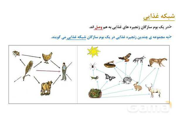 پاور علوم نهم فصل 15: باهم زیستن- پیش نمایش