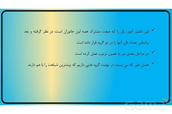 پاور فصل 11 گوناگونی جانوران | گوناگونی جانداران - پیش نمایش