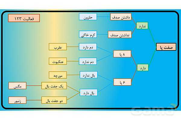 پاور فصل 11 گوناگونی جانوران | گوناگونی جانداران - پیش نمایش