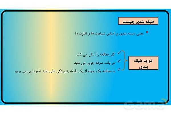 پاور فصل 11 گوناگونی جانوران | گوناگونی جانداران - پیش نمایش