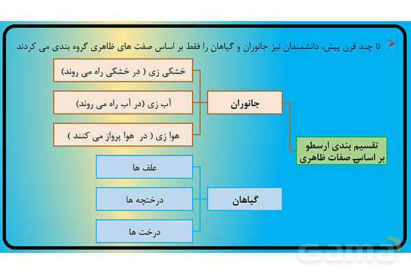 پاور فصل 11 گوناگونی جانوران | گوناگونی جانداران - پیش نمایش