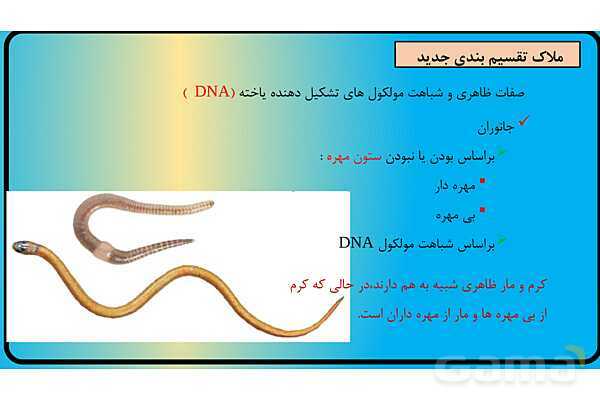 پاور فصل 11 گوناگونی جانوران | گوناگونی جانداران - پیش نمایش