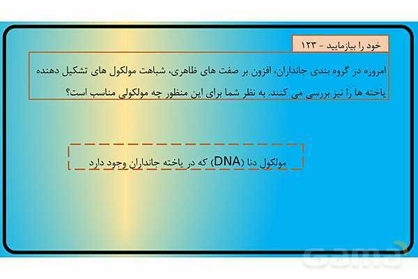 پاور فصل 11 گوناگونی جانوران | گوناگونی جانداران - پیش نمایش