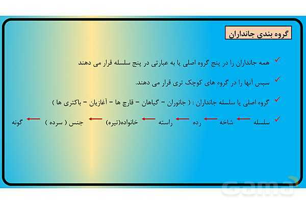 پاور فصل 11 گوناگونی جانوران | گوناگونی جانداران - پیش نمایش