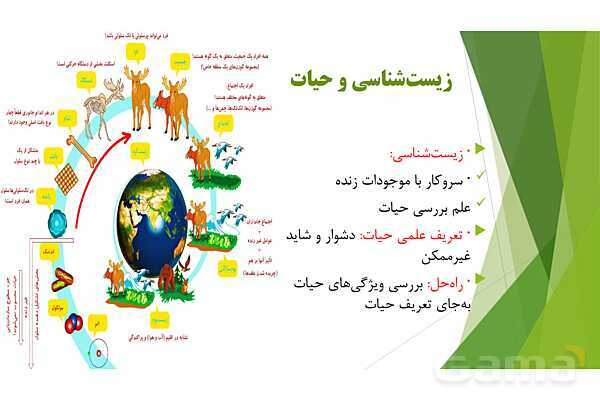پاور آموزش کنکور محور زیست شناسی دهم | فصل 1 گفتار دو: گستره حیات- پیش نمایش