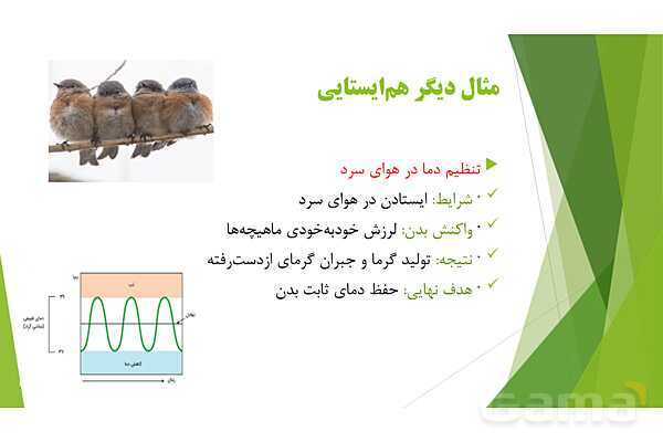 پاور آموزش کنکور محور زیست شناسی دهم | فصل 1 گفتار دو: گستره حیات- پیش نمایش