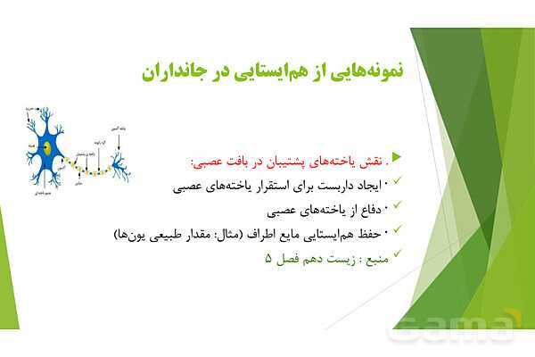 پاور آموزش کنکور محور زیست شناسی دهم | فصل 1 گفتار دو: گستره حیات- پیش نمایش