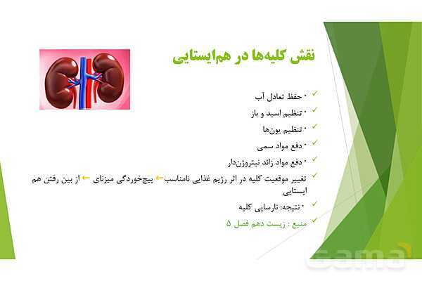 پاور آموزش کنکور محور زیست شناسی دهم | فصل 1 گفتار دو: گستره حیات- پیش نمایش