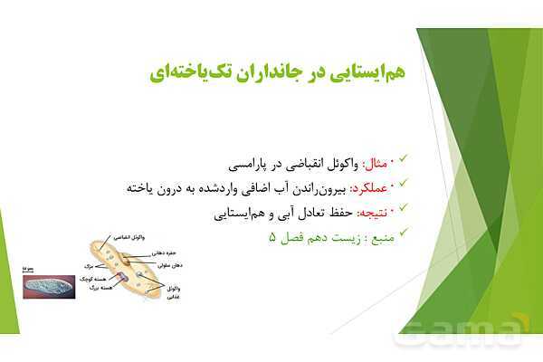پاور آموزش کنکور محور زیست شناسی دهم | فصل 1 گفتار دو: گستره حیات- پیش نمایش