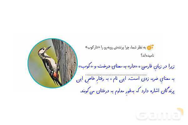 پاور درس 15 نگارش ششم | میوه هنر- پیش نمایش