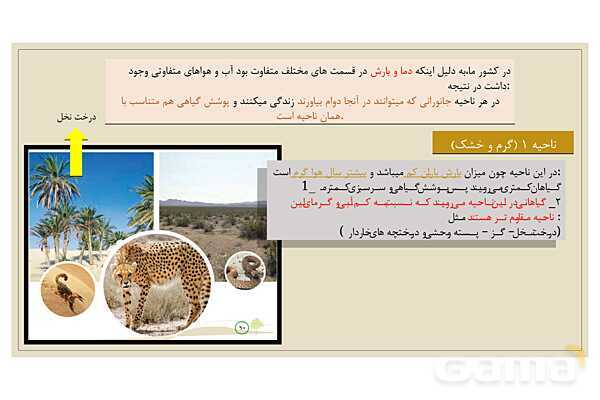 پاور درس 18 مطالعات چهارم | پوشش گیاهی و زندگی جانوری در ایران- پیش نمایش