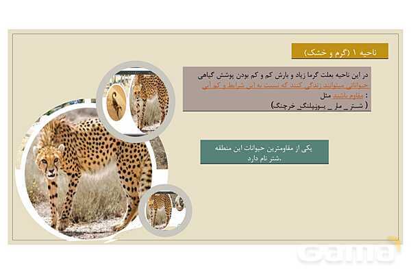پاور درس 18 مطالعات چهارم | پوشش گیاهی و زندگی جانوری در ایران- پیش نمایش