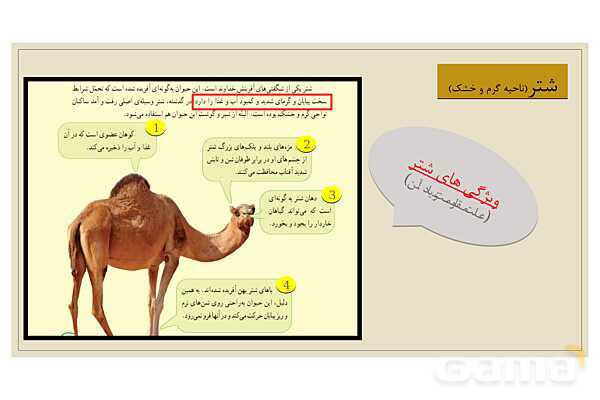 پاور درس 18 مطالعات چهارم | پوشش گیاهی و زندگی جانوری در ایران- پیش نمایش