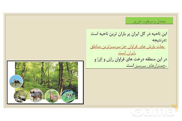 پاور درس 18 مطالعات چهارم | پوشش گیاهی و زندگی جانوری در ایران- پیش نمایش