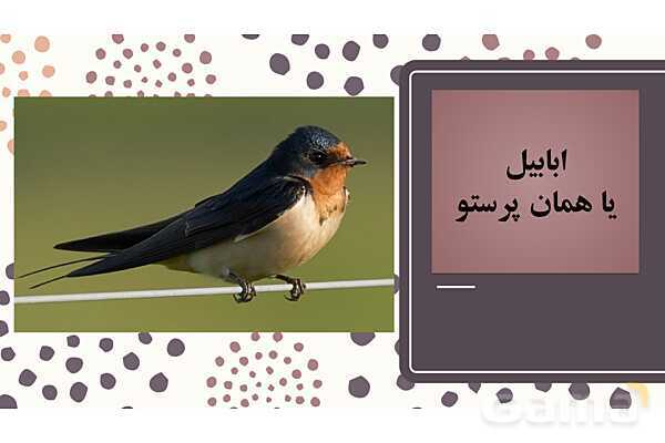 پاور فارسی دوازدهم | پرندگان نمادین در درس سیمرغ- پیش نمایش