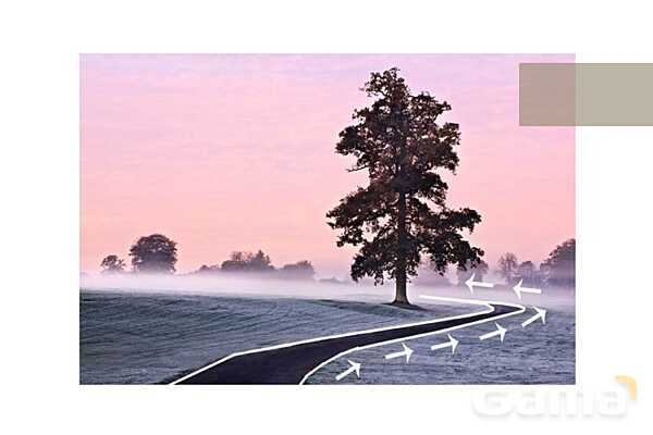 پاور عکاسی 1 | ترکیب بندی در عکاسی - پیش نمایش